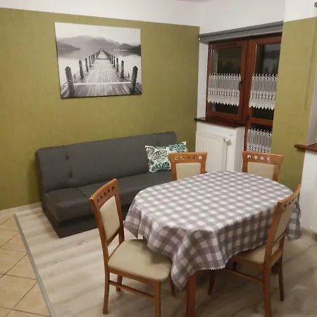 公寓 Apartament Szymony 扎科帕内